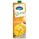 Nectar de Mangue Jaouda Press'Up 1L