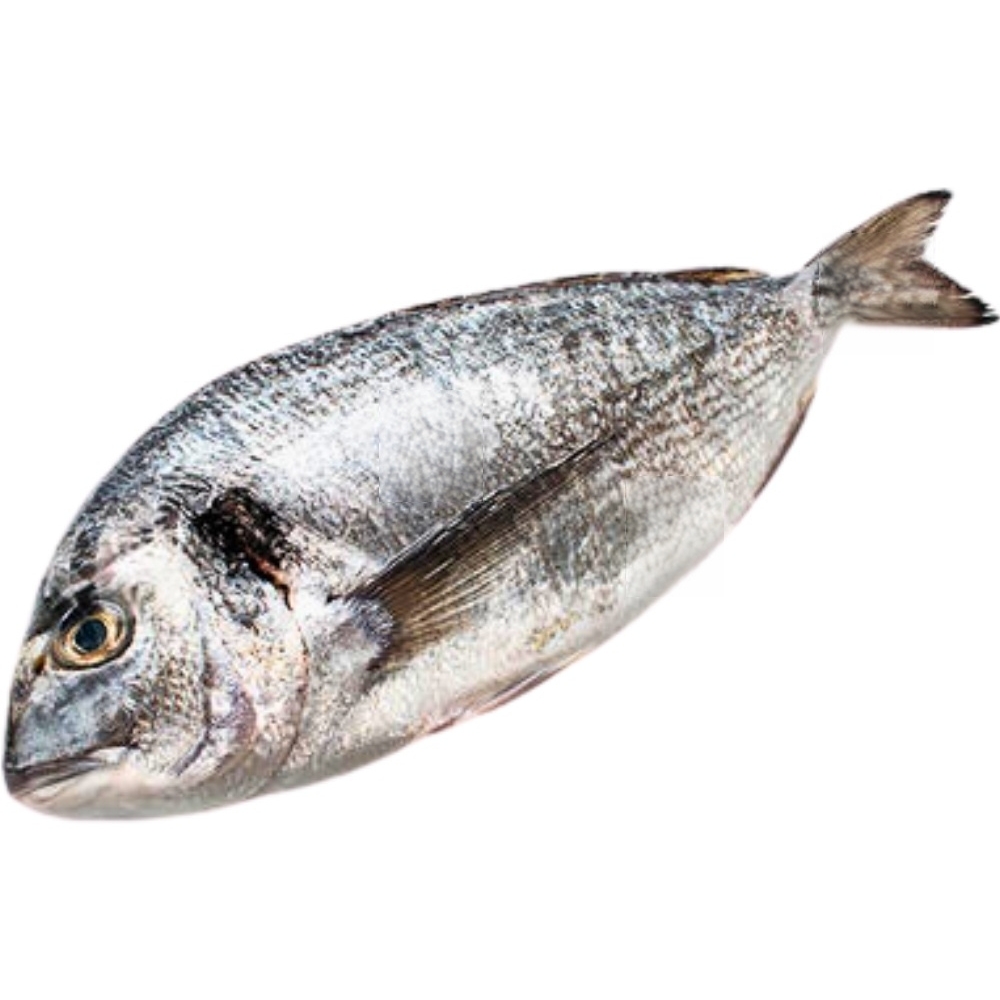 Dorade d'Élevage 400-600g