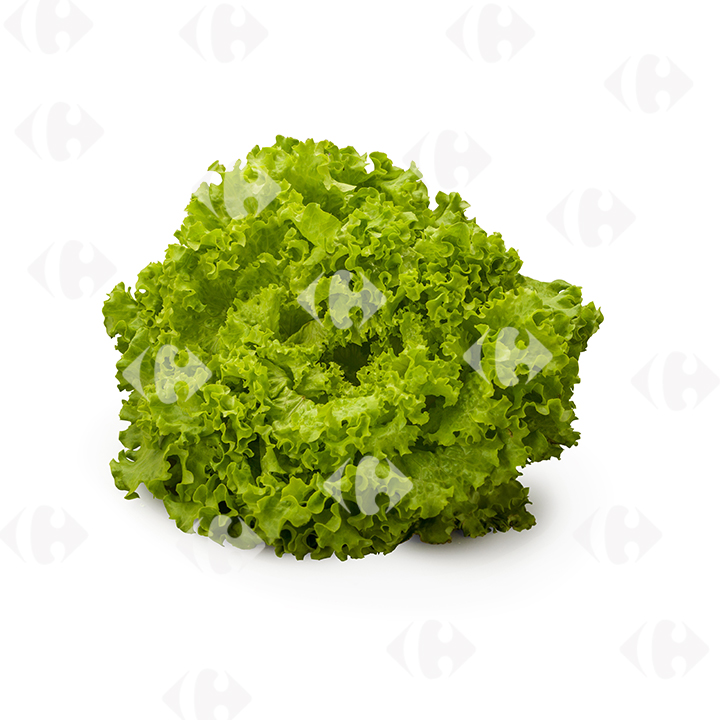 Salade Batavia Verte à la Pièce.