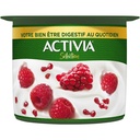 Yaourt à La Cuillère Brassé Grenade Framboise Activia 90g