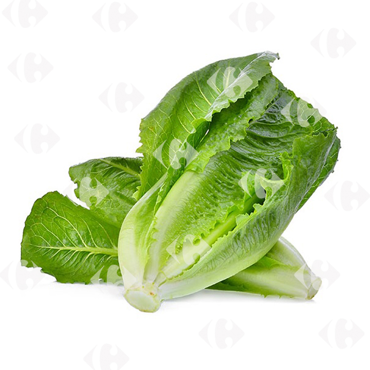[162289] Salade Laitue Romaine à La Pièce.