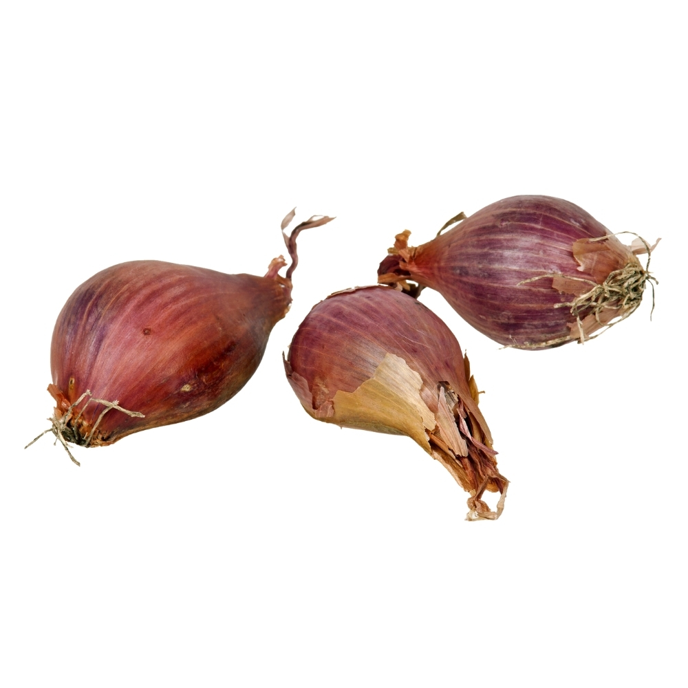 Échalote Rouge 250g