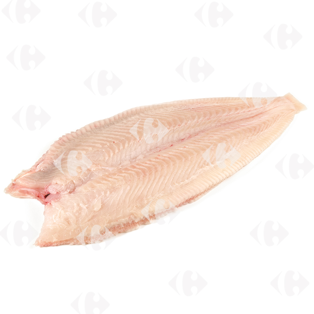 [10962] Sole Filet Boucle au kg