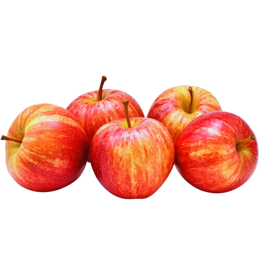 Pomme Gala Gros Calibre Arbor 500g