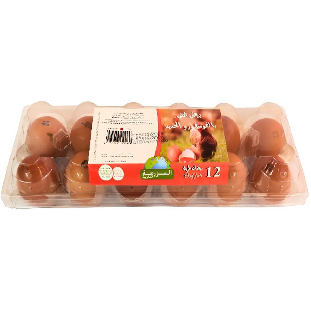 Oeufs Jaune Orange Ovocorpe 12 unités