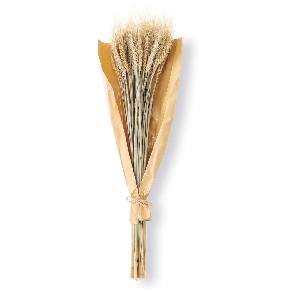 [716478] Tige Fleur Séchée Spike Enveloppée Papier Kasa