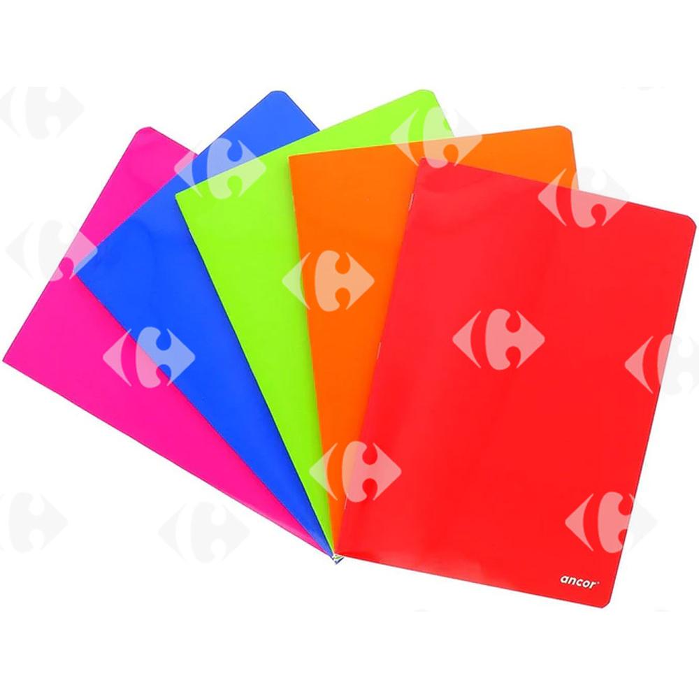 [585289] Cahier Piqué Couverture en Plastique 192 pages Seyès 24x32cm Ancor 90g