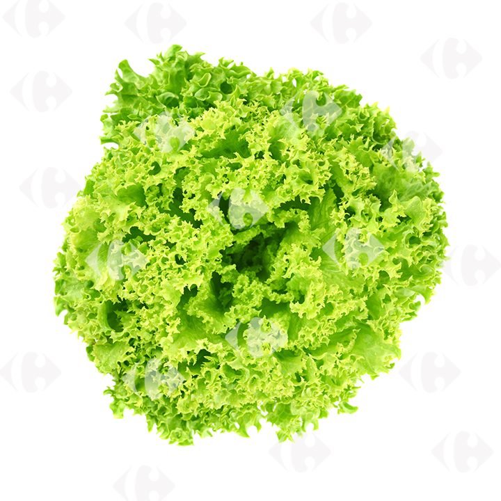 [230454] Salade lollo Verte à La Pièce.