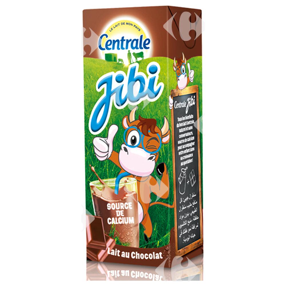 Lait Aromatisé Chocolat Jibi Danone 200ml.