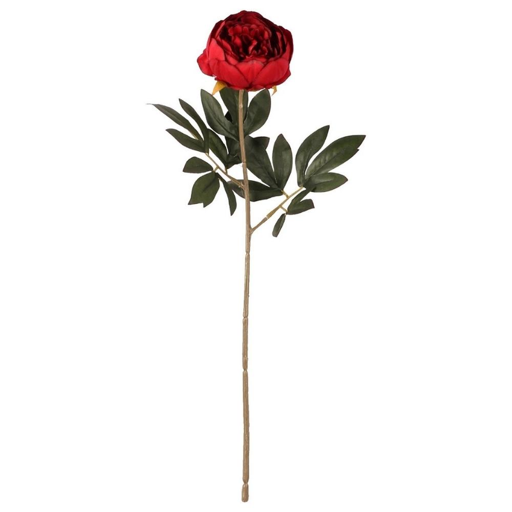 [722247] Tige de Pivoine Rouge Kasa 48 cm