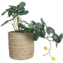 Pot Paille Plante Artificielle en Cascade Kasa
