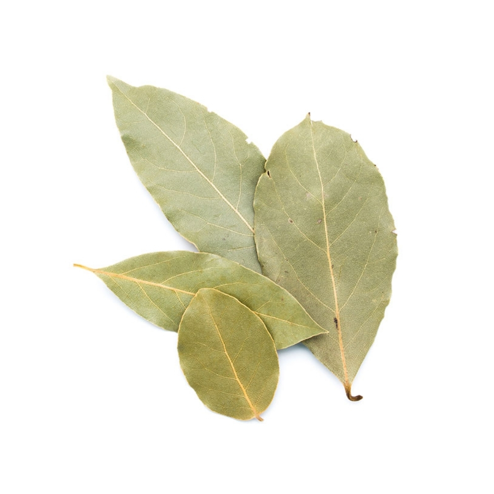 [691333] Feuille de Laurier à la Pièce