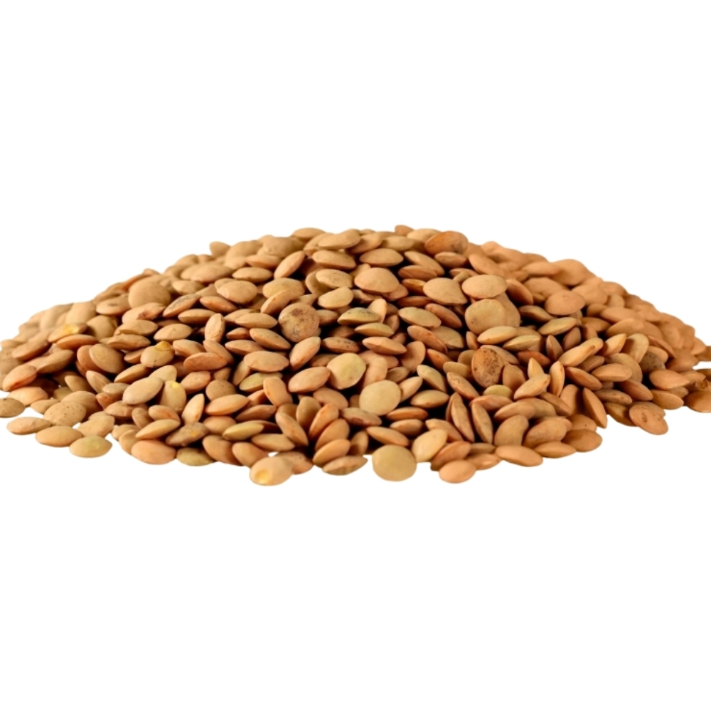 [640459] Lentilles Extras 900g