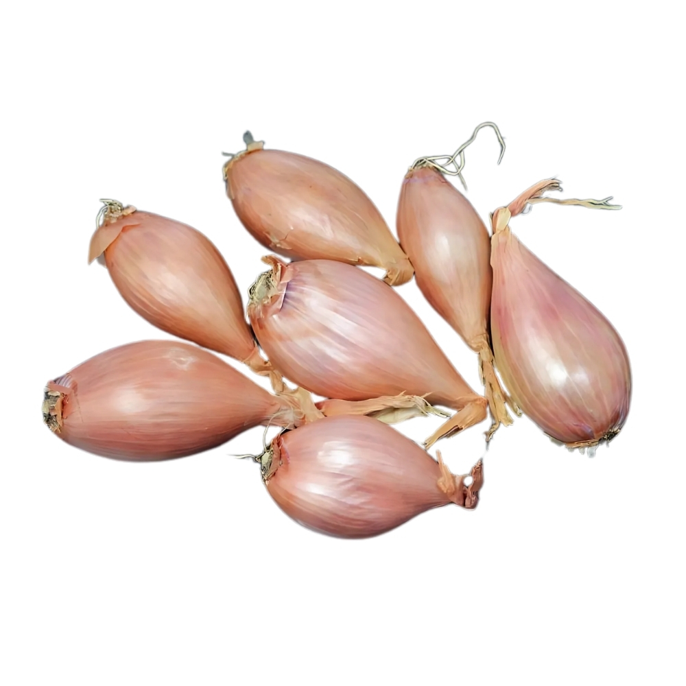Échalote Blanche 250g