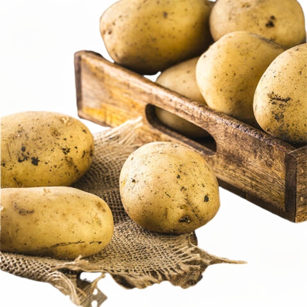 [15098] Pomme de Terre Blanche 500g