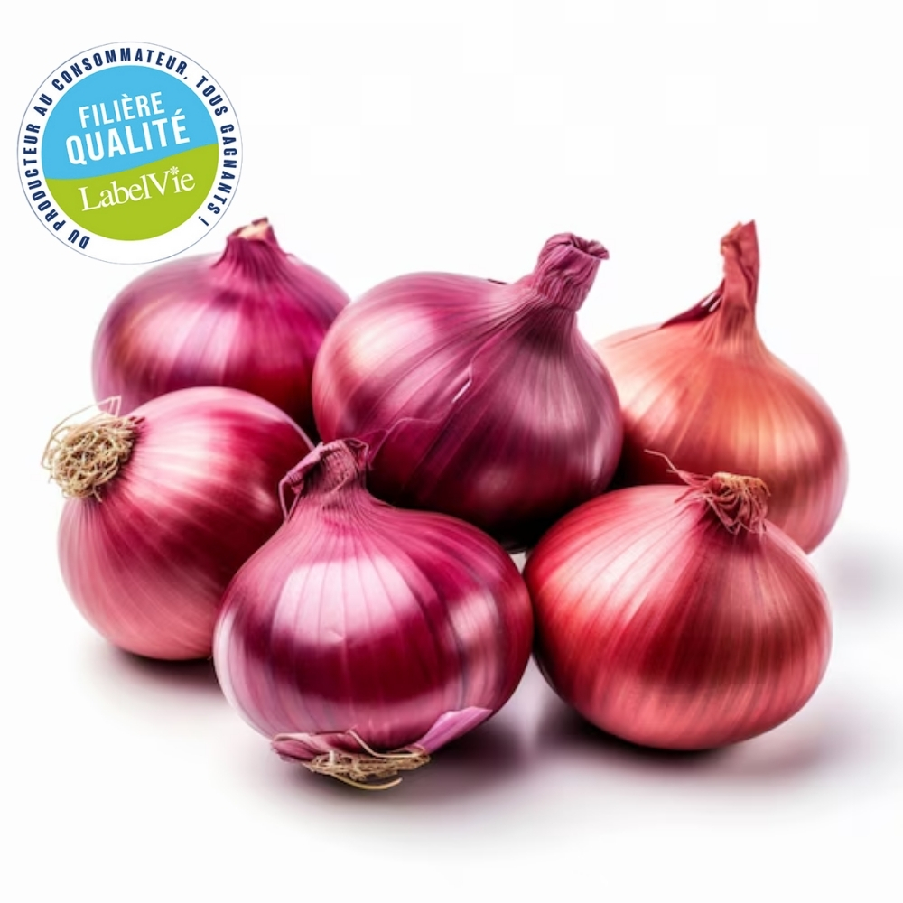 [722125] Oignon Rouge 6 Pièces - Filière Qualité