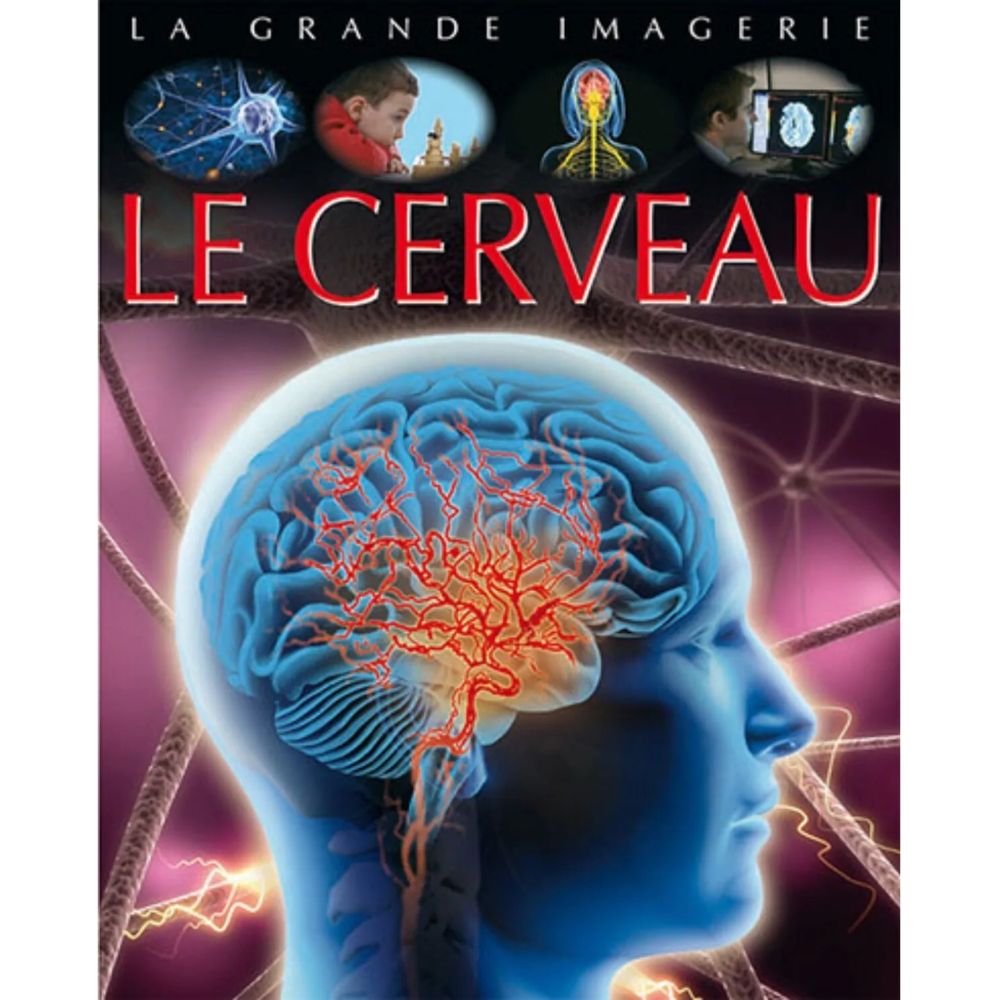 la Grande Imagerie : Le Cerveau