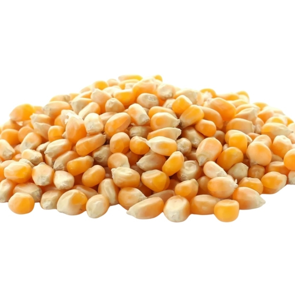 Maïs 400g