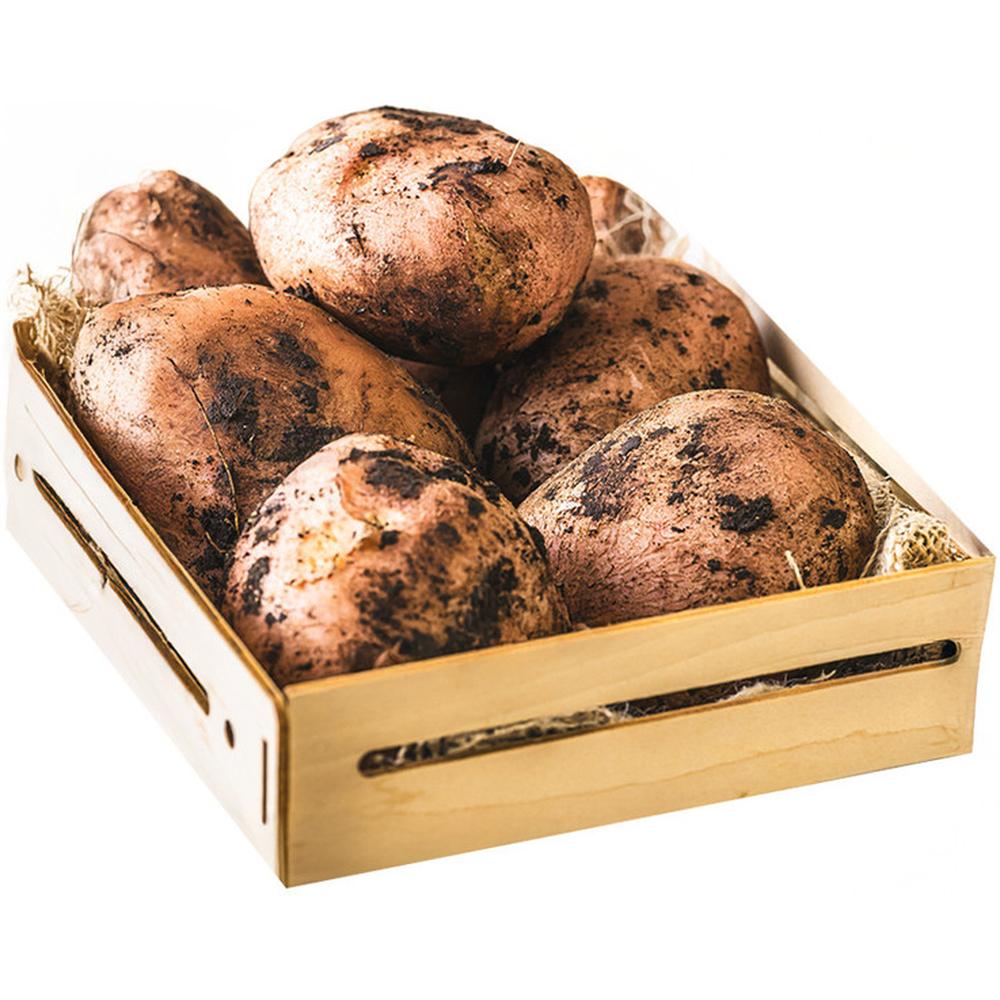 [15099] Pomme de Terre Rouge 500g