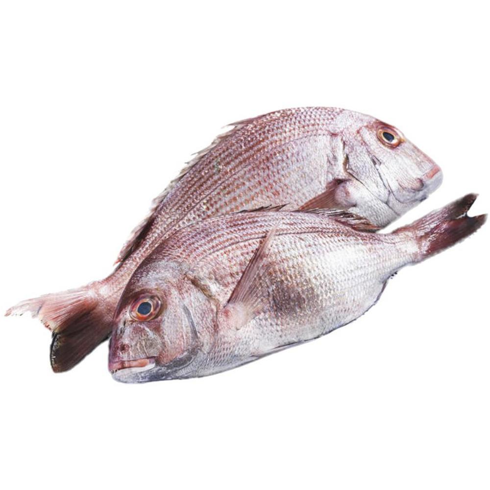 [10999] Pageot chama Moy 500g