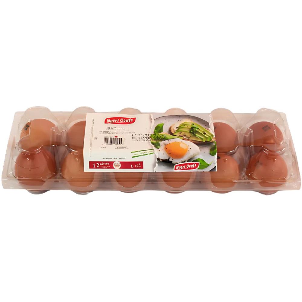Oeufs Gros Calibre Ovocorp Boite de 12 unités