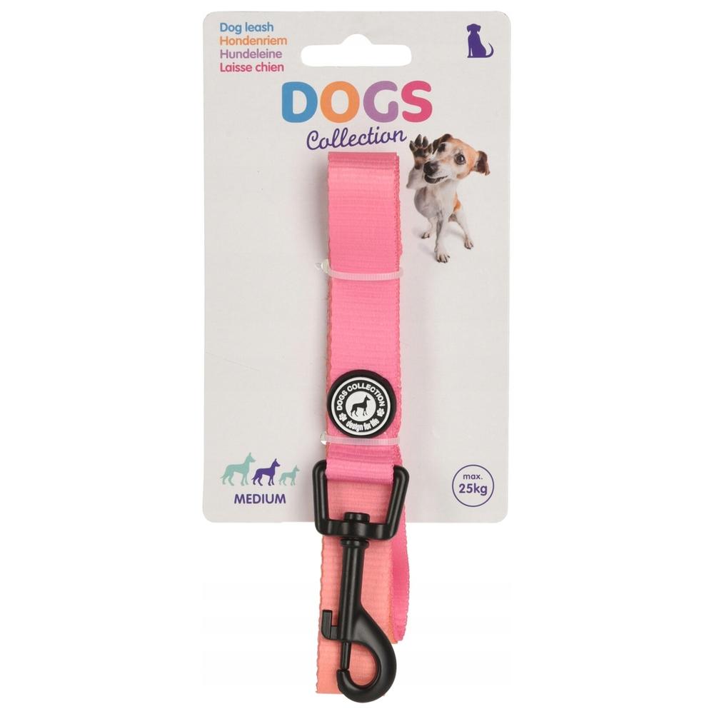 Laisse Chien 1200x20mm