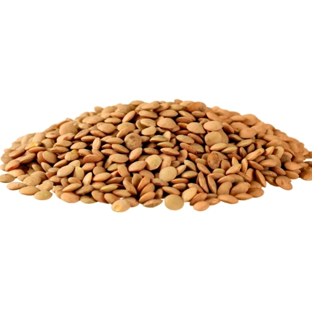 [640456] Lentilles Extras 400g