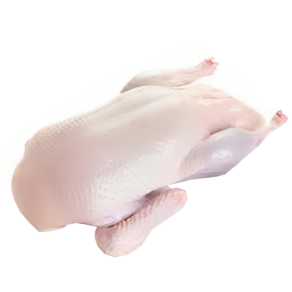 [673443] Canard au Kg
