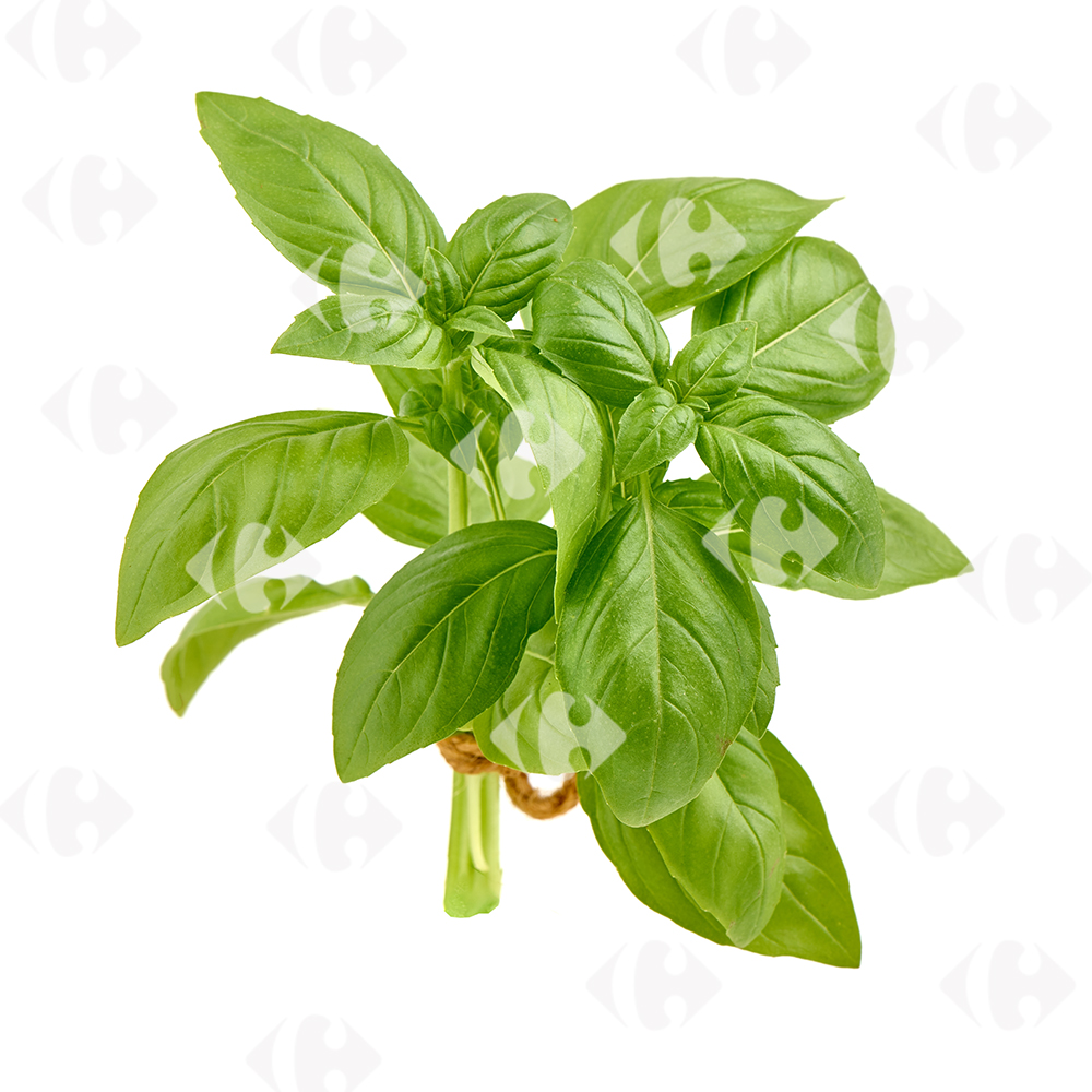 Basilic 25g.