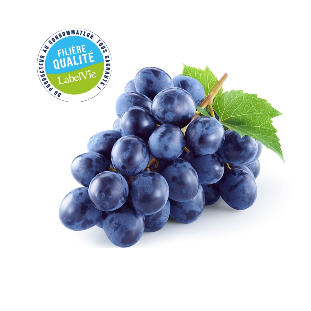 [717977] Raisin Noir Local au Kg - Filière Qualité