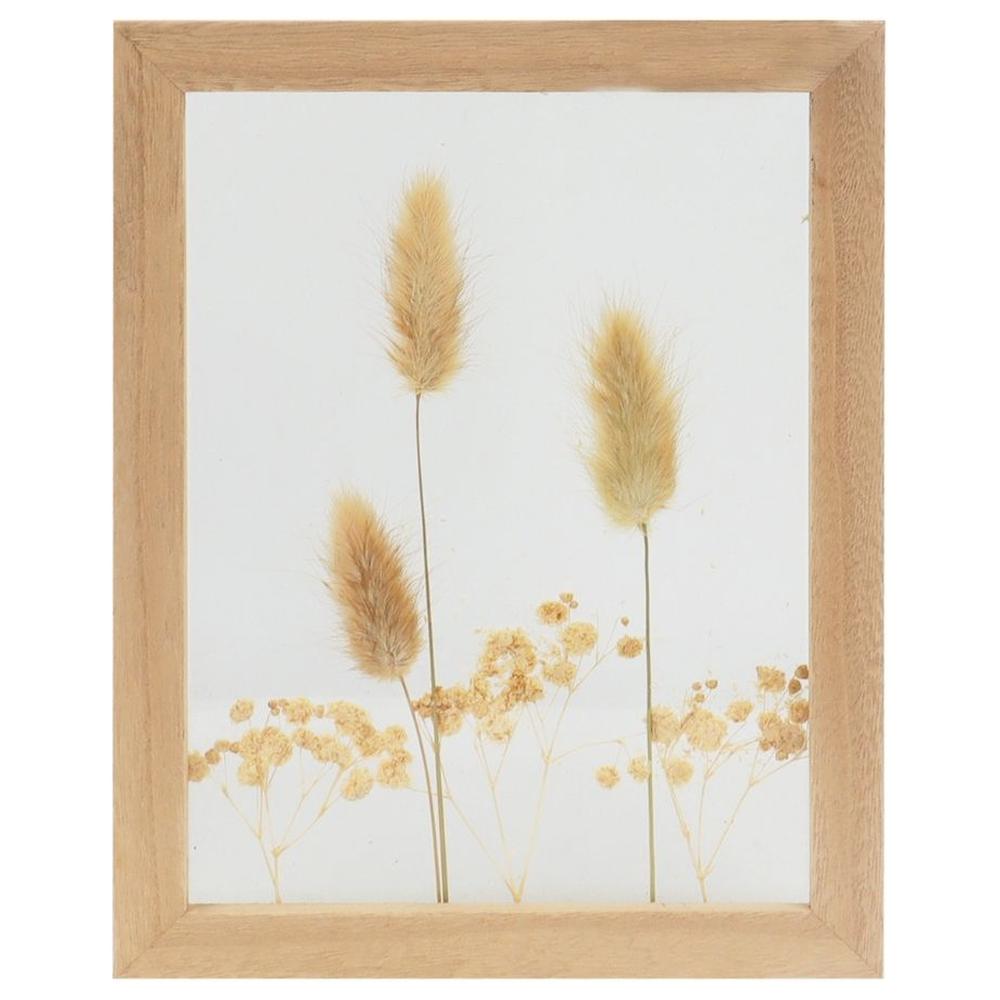 Tableau Rectangulaire avec Fleurs Séchées Kasa 23x18cm